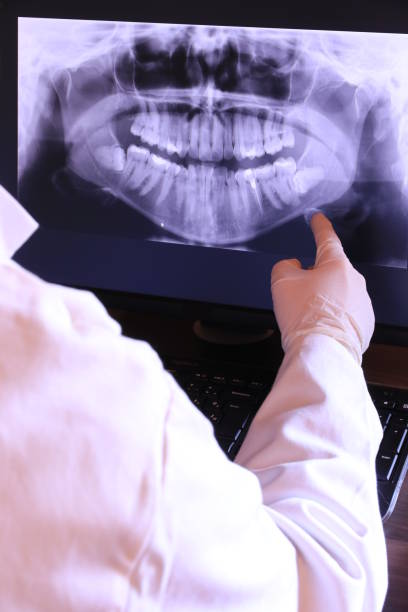 Best Emergency X-Rays and Diagnostics in Park River, ND